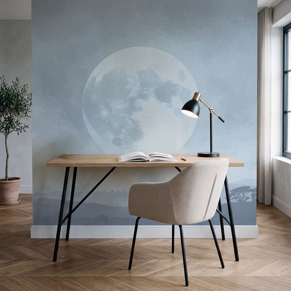 Moon in the sky