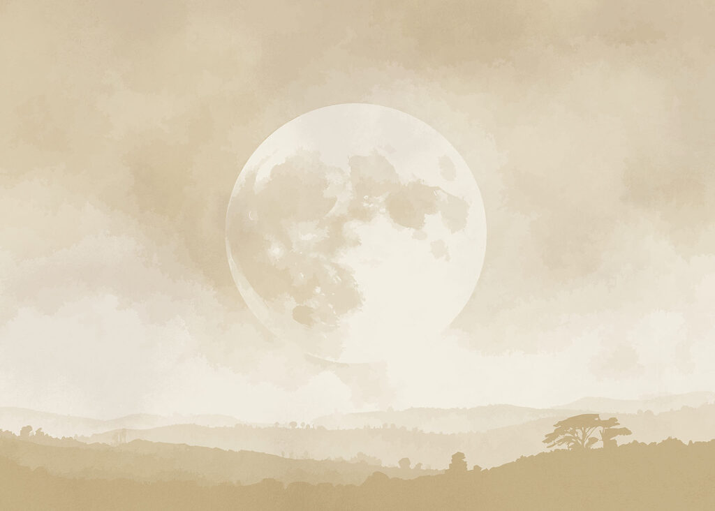 Moon in the sky
