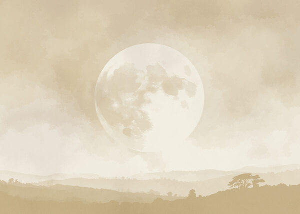 Moon in the sky