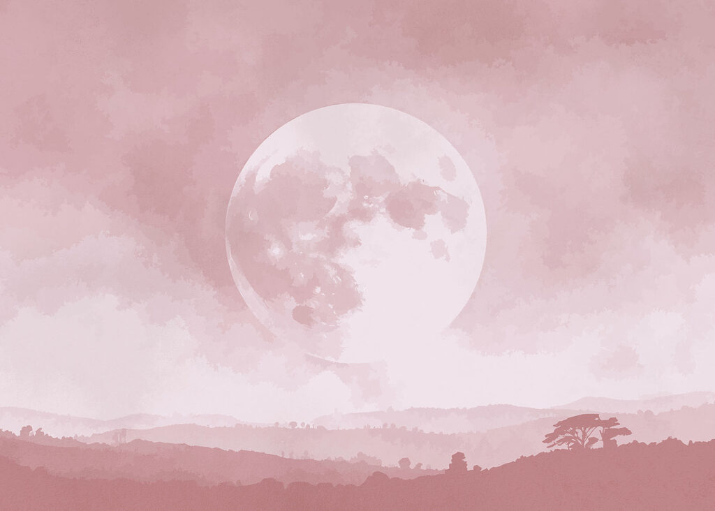 Moon in the sky Moon in the sky