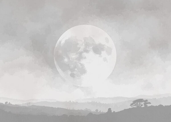 Moon in the sky