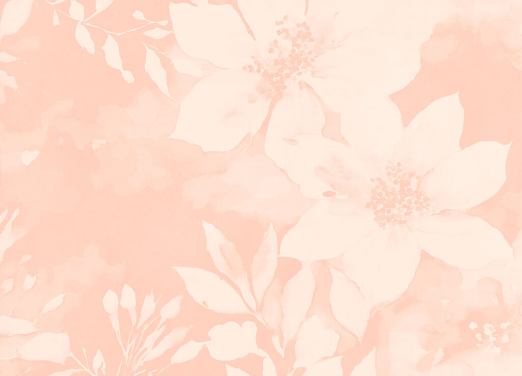 White flowers on a pink background White flowers on a pink background