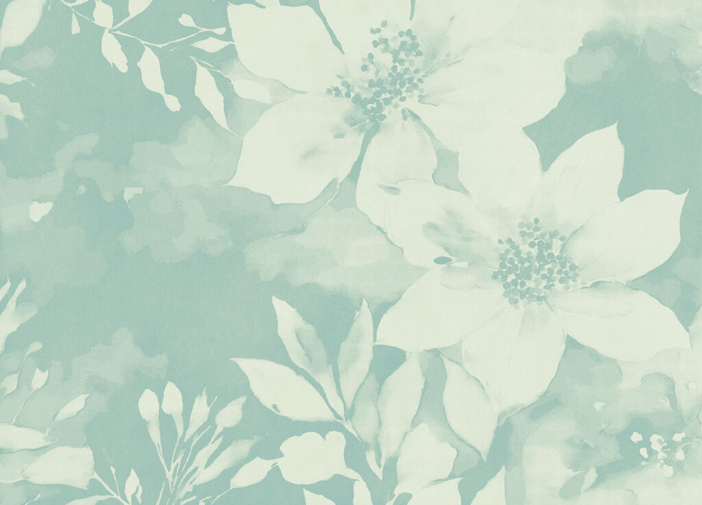 White flowers on a blue background White flowers on a blue background