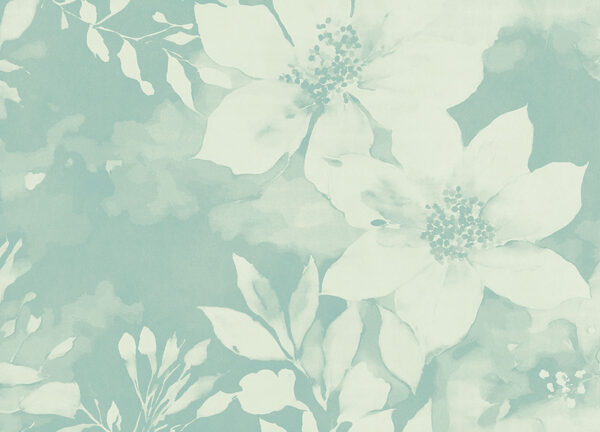 White flowers on a blue background White flowers on a blue background