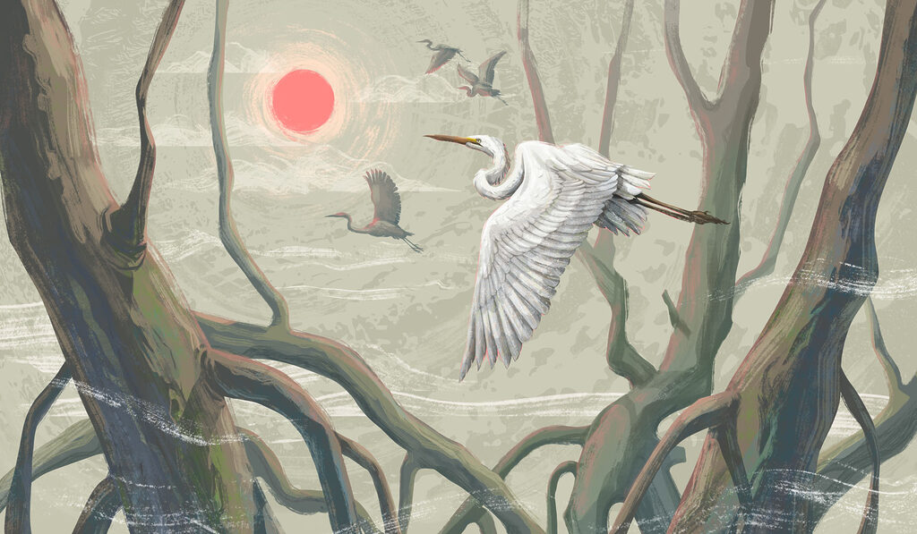White bird flying in the sky White bird flying in the sky