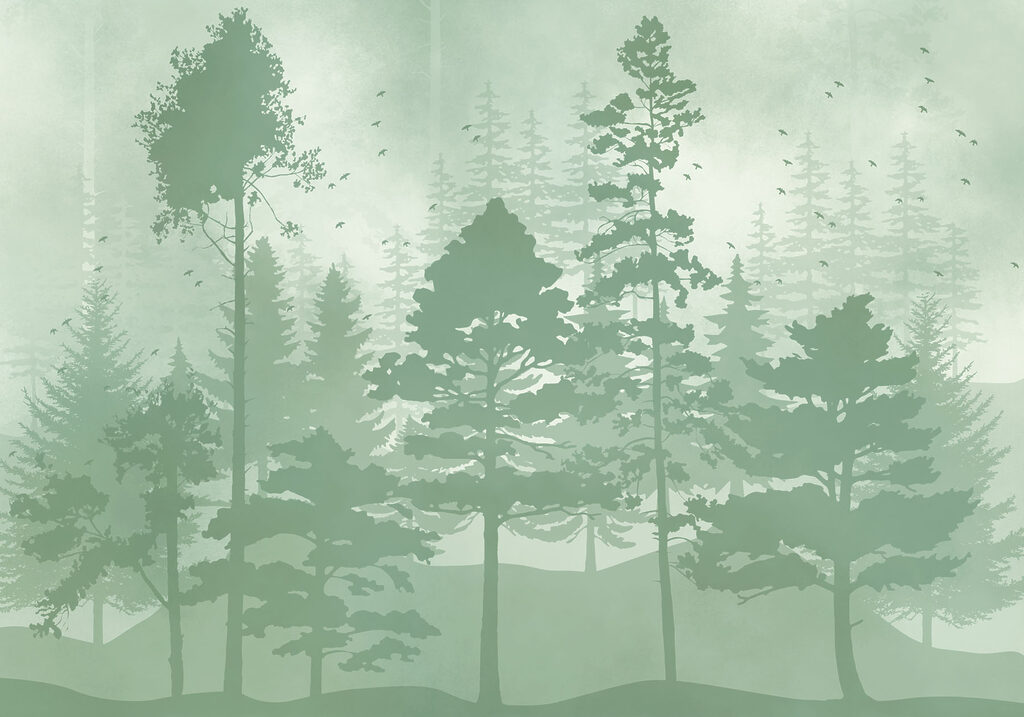 Group of trees in a forest Group of trees in a forest