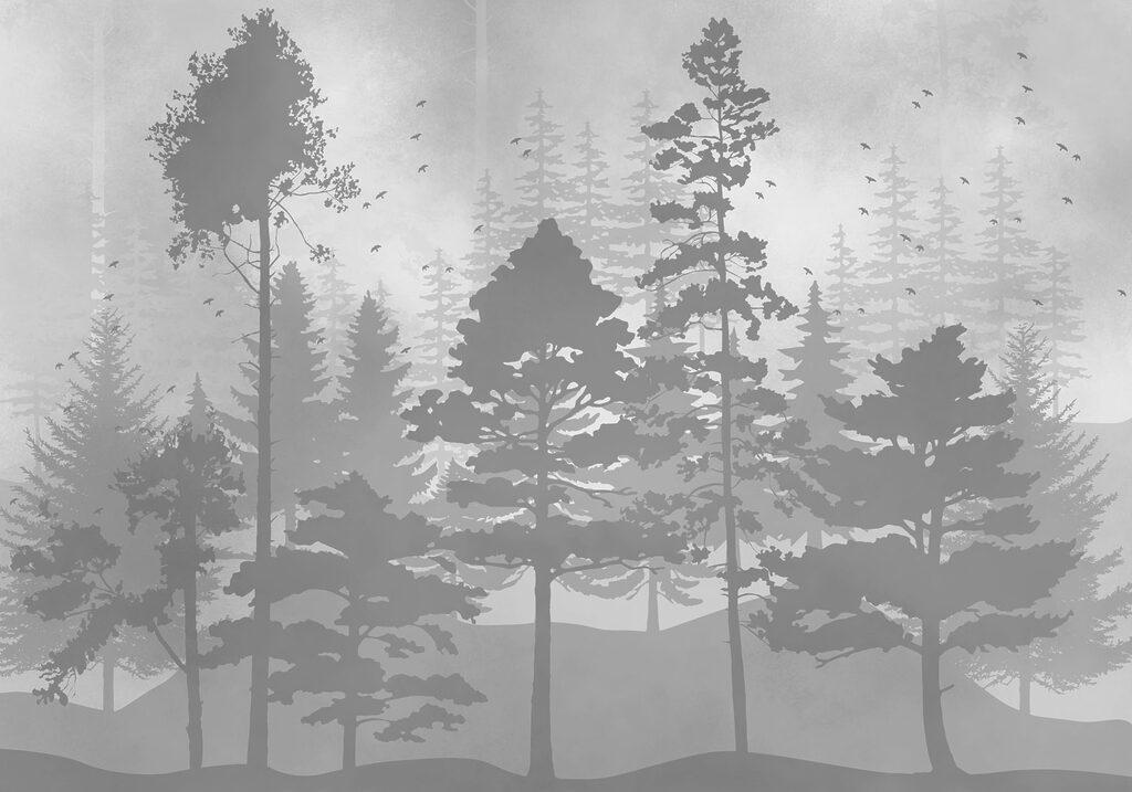 Group of trees in a forest