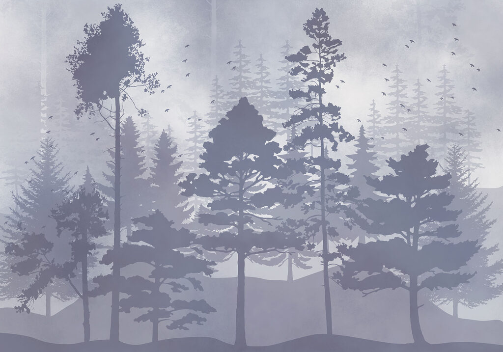 Group of trees in a foggy forest