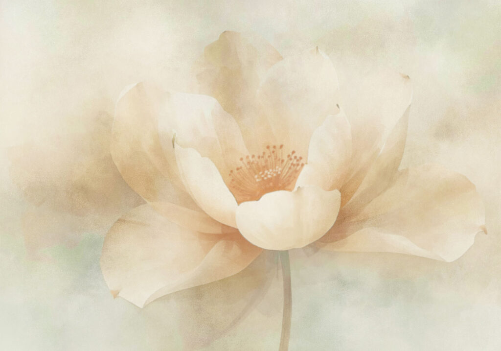 Soft petals in gentle hues Soft petals in gentle hues