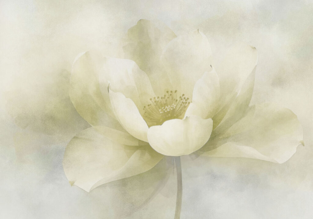 Delicate beauty in soft hues