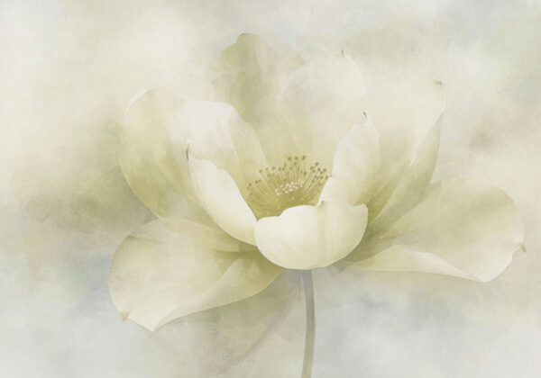 Delicate beauty in soft hues