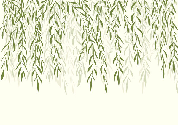 Green leaves from a tree Green leaves from a tree