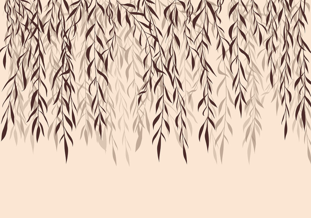 Delicate leaves cascading softly down Delicate leaves cascading softly down