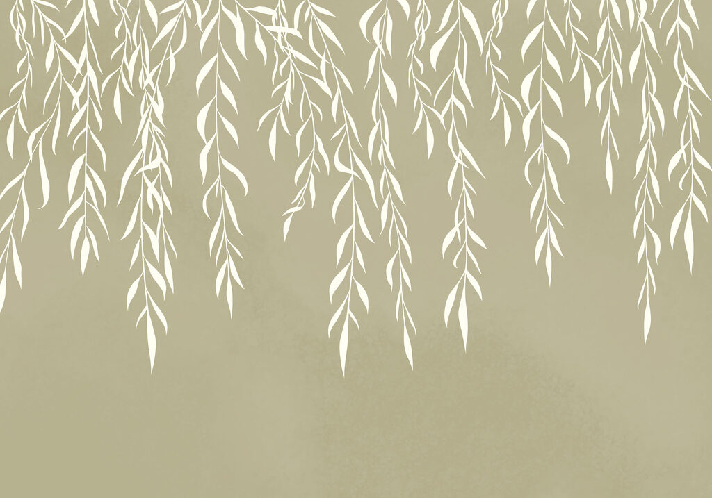 White leaves on a gray background White leaves on a gray background
