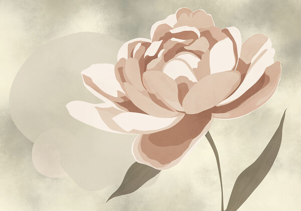 Delicate beauty in soft hues Delicate beauty in soft hues