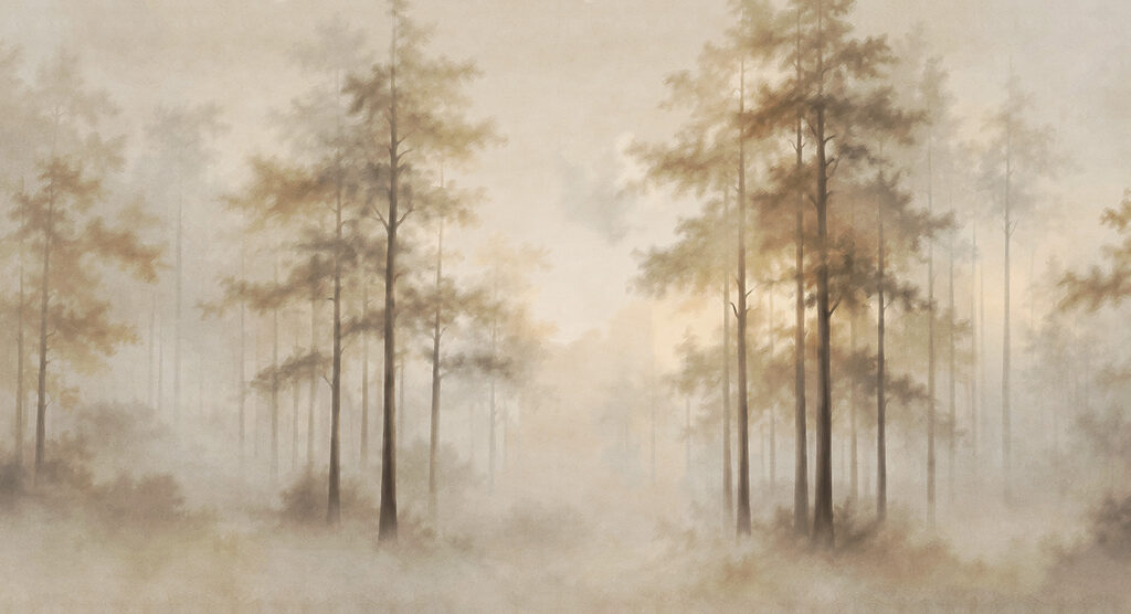 Foggy forest with trees