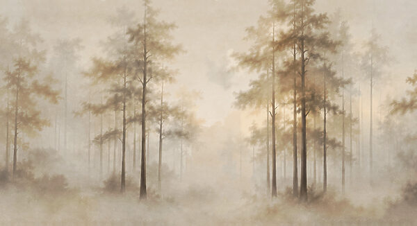 Foggy forest with trees