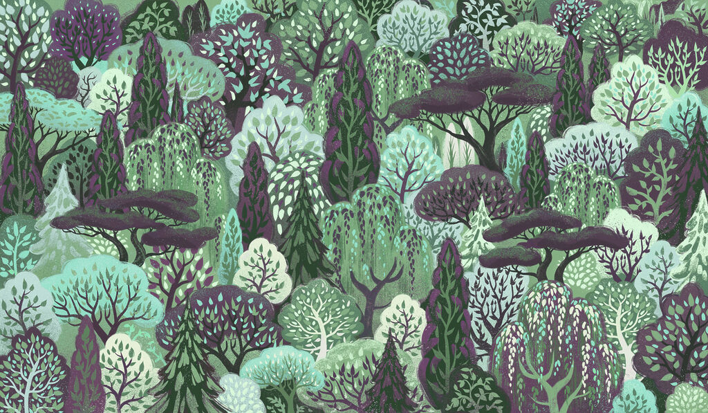 Wall mural Group of trees in a forest (SKU: t01033v5)