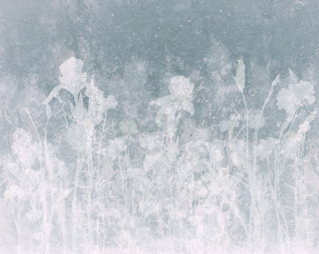 Wall mural White flowers on a grey background (SKU: t01116v2) Wall mural White flowers on a grey background (SKU: t01116v2)