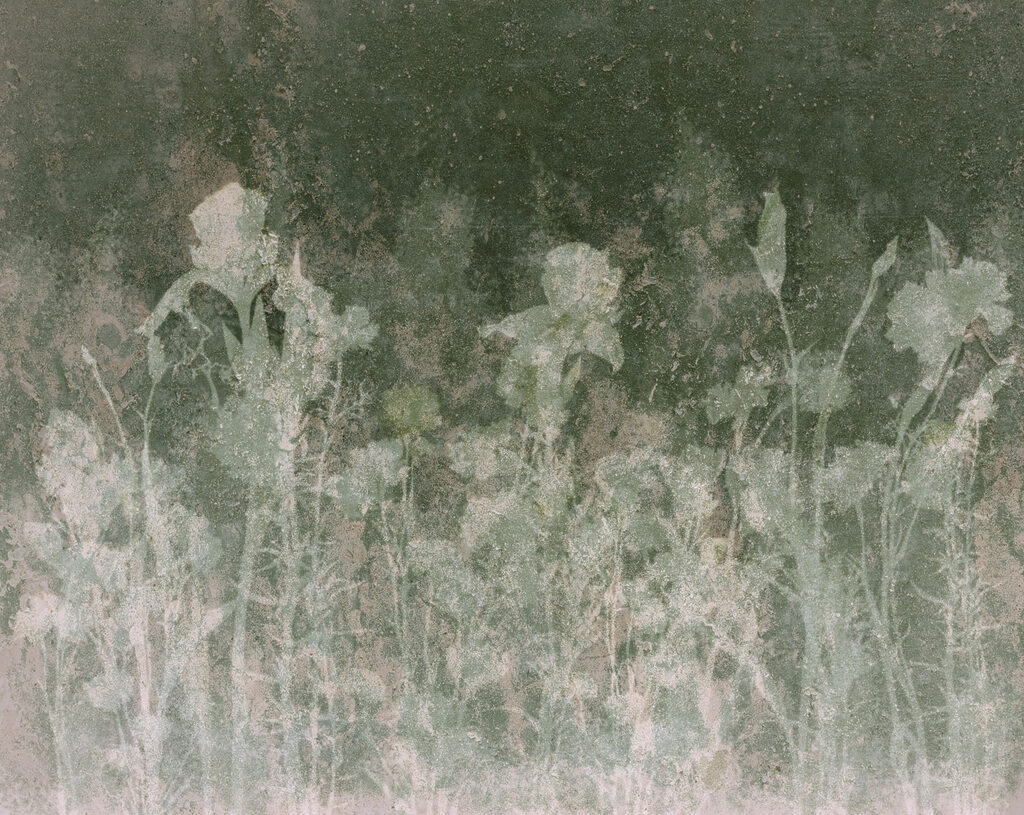 Wall mural Faded flowers in soft green tones (SKU: t01116v3) Wall mural Faded flowers in soft green tones (SKU: t01116v3)