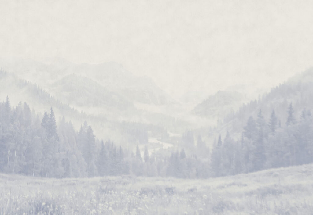 Wall mural Landscape with trees and mountains (SKU: t01084) Wall mural Landscape with trees and mountains (SKU: t01084)