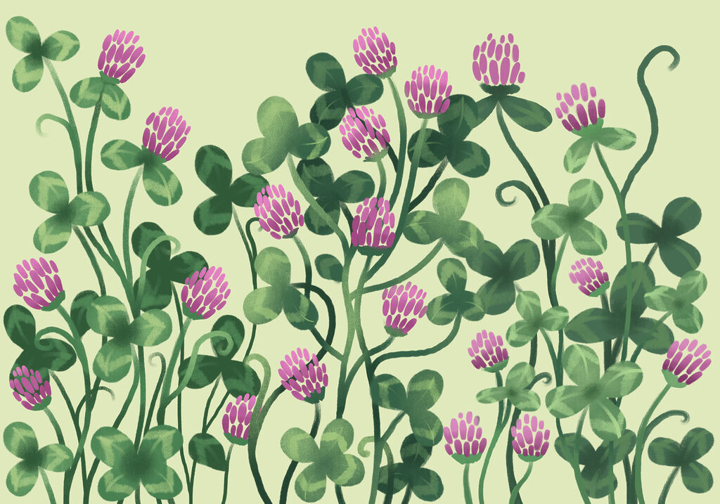 Wall mural - Vibrant blooms in lush greenery (SKU: t01121) Wall mural - Vibrant blooms in lush greenery (SKU: t01121)