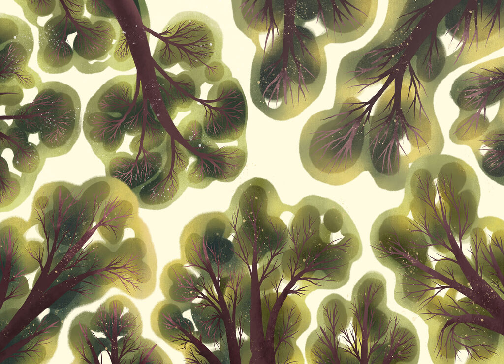 Wall mural Group of trees with green leaves (SKU: t01164)