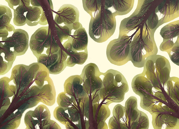 Wall mural Group of trees with green leaves (SKU: t01164)