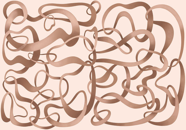 Wall mural Group of brown curly lines (SKU: t01168) Wall mural Group of brown curly lines (SKU: t01168)