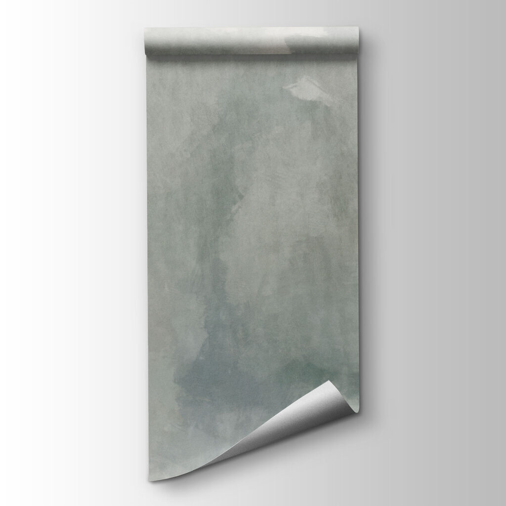 Wall mural Foggy landscape with trees and mountains (SKU: t01162v1)