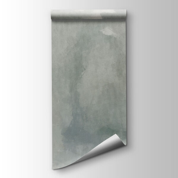 Wall mural Foggy landscape with trees and mountains (SKU: t01162v1)